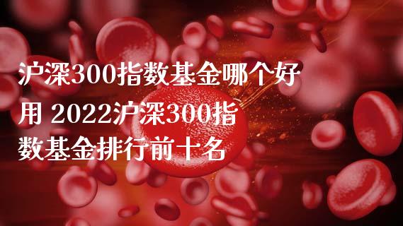沪深300指数基金哪个好用 2022沪深300指数基金排行前十名