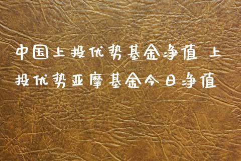 中国上投优势基金净值 上投优势亚摩基金今日净值