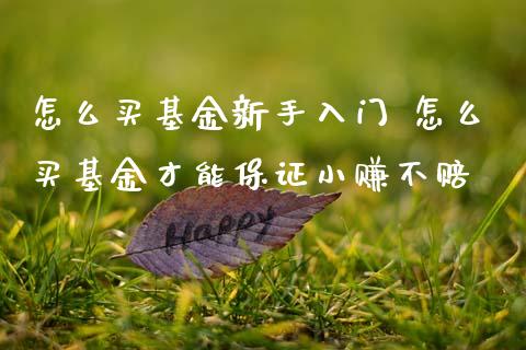怎么买基金新手入门 怎么买基金才能保证小赚不赔