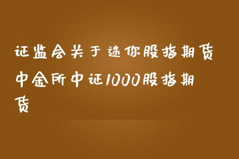 证监会关于迷你股指期货 所中证1000股指期货