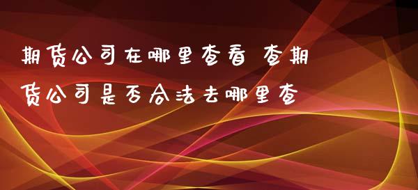 期货公司在哪里查看 查期货公司是否合法去哪里查