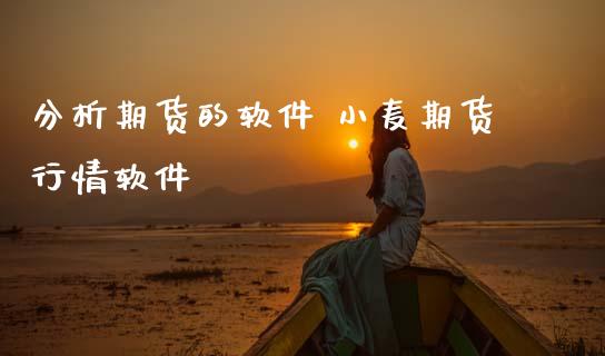 分析期货的软件 小麦期货行情软件