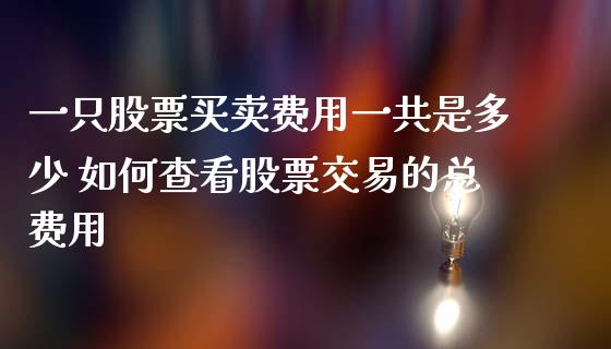 一只股票买卖费用一共是多少 如何查看股票交易的总费用