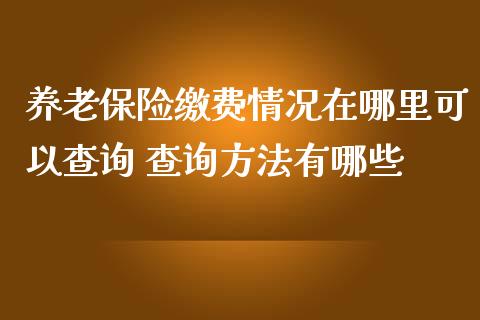 养老保险缴费情况在哪里可以查询 查询方法有哪些