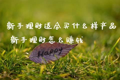 新手理财适合买什么样产品 新手理财怎么赚钱