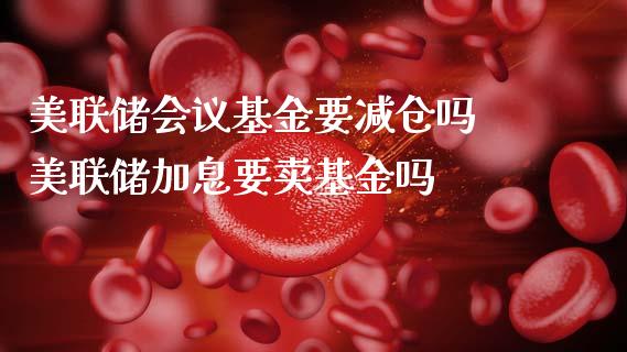 美联储基金要减仓吗 美联储加息要卖基金吗