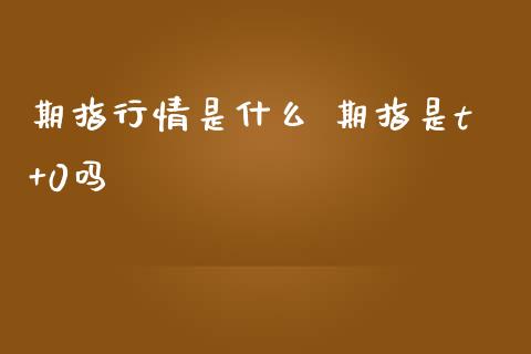 期指行情是什么 期指是t+0吗