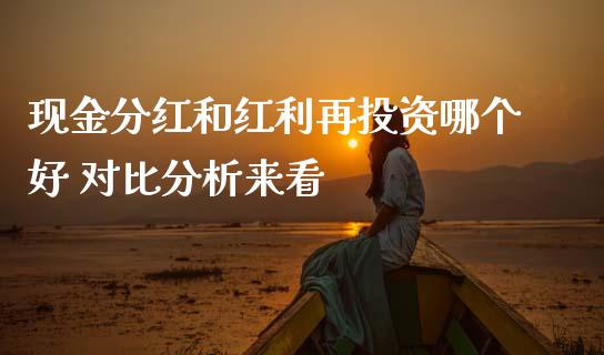 现金分红和红利再投资哪个好 对比分析来看