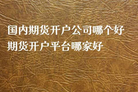 国内期货开户公司哪个好 期货开户平台哪家好