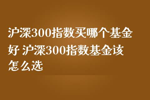 沪深300指数买哪个基金好 沪深300指数基金该怎么选