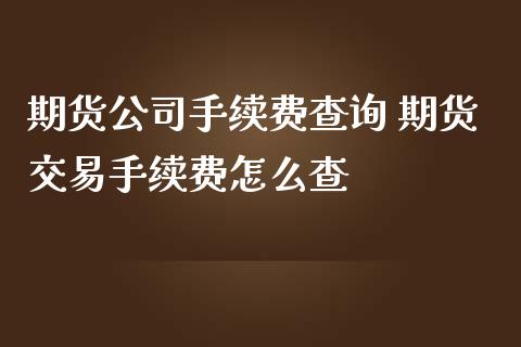期货公司手续费查询 期货交易手续费怎么查