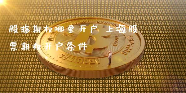 股指期权哪里开户 上海股票期权开户条件
