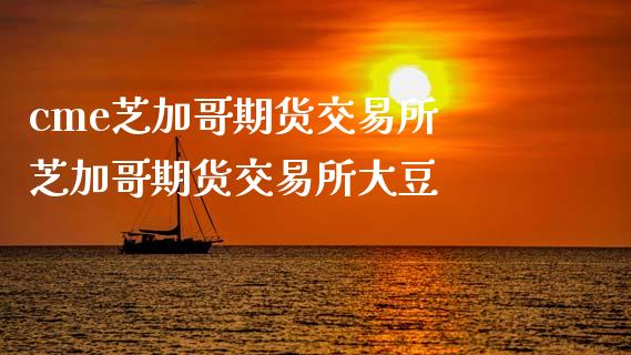 cme芝加哥期货交易所 芝加哥期货交易所大豆