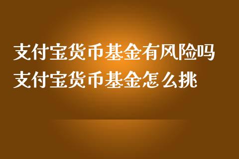 支付宝货币基金有风险吗 支付宝货币基金怎么挑
