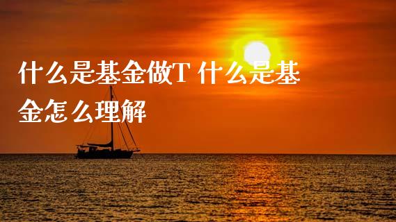 什么是基金做T 什么是基金怎么理解