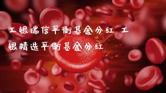 工银瑞信平衡基金分红 工银精选平衡基金分红