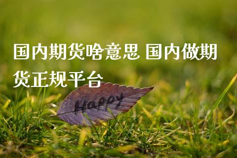 国内期货啥意思 国内做期货正规平台