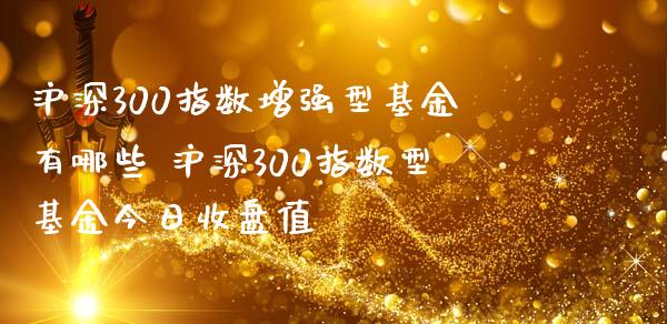 沪深300指数增强型基金有哪些 沪深300指数型基金今日收盘值