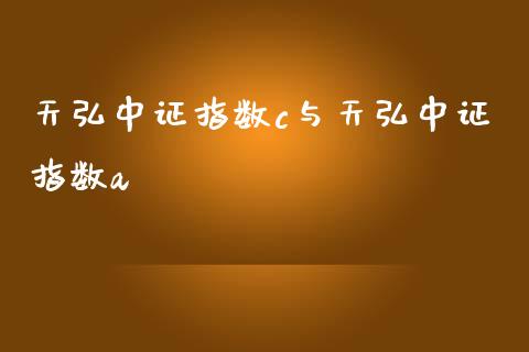 天弘中证指数c与天弘中证指数a