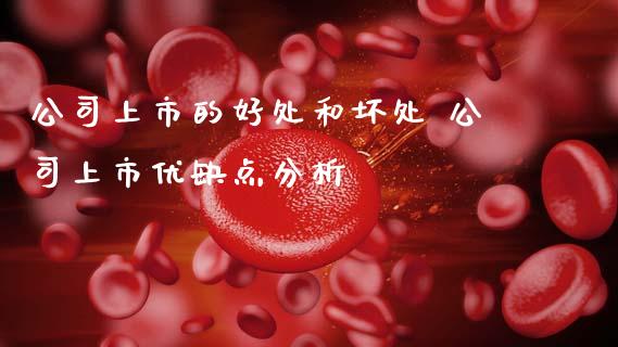 公司上市的好处和坏处 公司上市优缺点分析