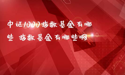 中证1000指数基金有哪些 指数基金有哪些啊
