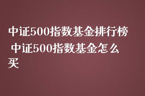 中证500指数基金排行榜 中证500指数基金怎么买