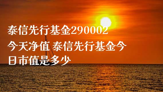 泰信先行基金290002今天净值 泰信先行基金今日市值是多少