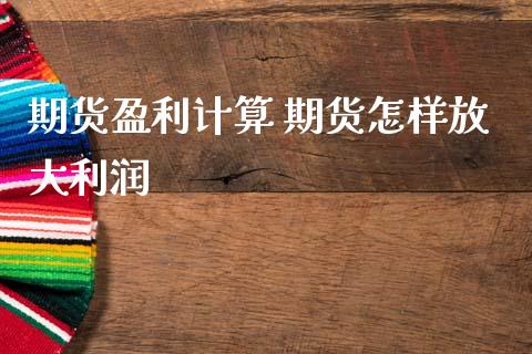 期货盈利计算 期货怎样放大利润
