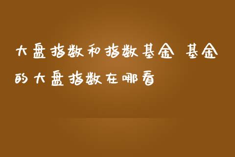 大盘指数和指数基金 基金的大盘指数在哪看