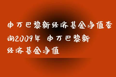 申万巴黎新经济基金净值查询2009年 申万巴黎新经济基金净值