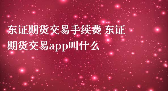期货交易手续费 期货交易app叫什么