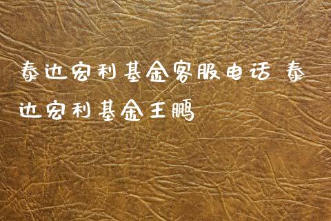 泰达宏利基金客服电话 泰达宏利基金王鹏
