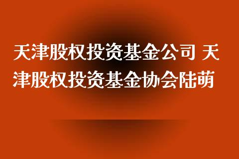 天津股权投资基金公司 天津股权投资基金协会陆萌