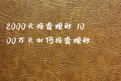 2000元投资理财 1000万元如何投资理财