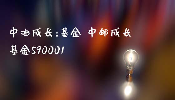 中油成长:基金 中邮成长基金590001