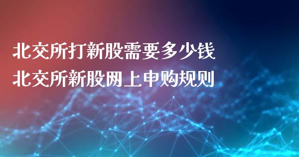 北交所打新股需要多少钱 北交所新股网上申购规则