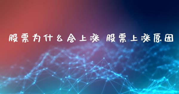 股票为什么会上涨 股票上涨原因
