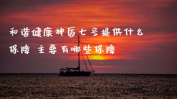 和谐健康神盾七号提供什么保障 主要有哪些保障