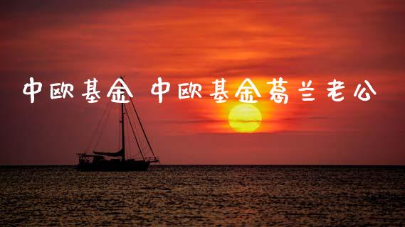 中欧基金 中欧基金葛兰