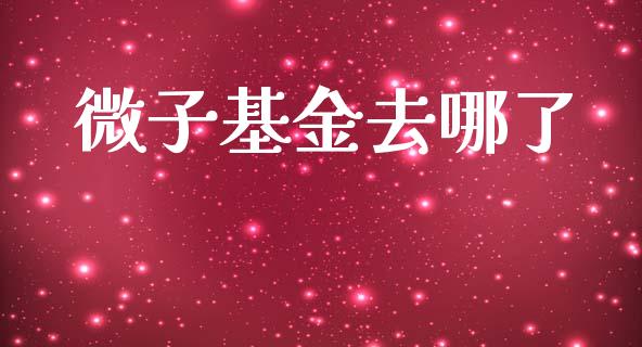微子基金去哪了
