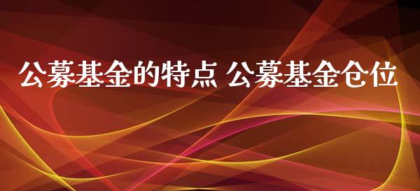 公募基金的特点 公募基金仓位