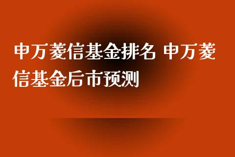 申万菱信基金排名 申万菱信基金后市预测