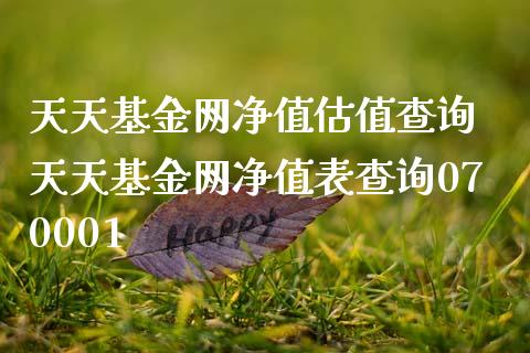 天天基金网净值估值查询 天天基金网净值表查询070001