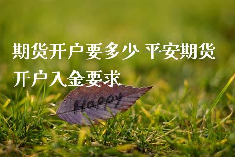 期货开户要多少 平安期货开户入金要求