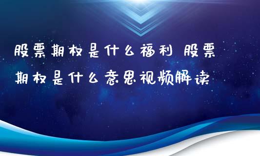 股票期权是什么福利 股票期权是什么意思视频解读