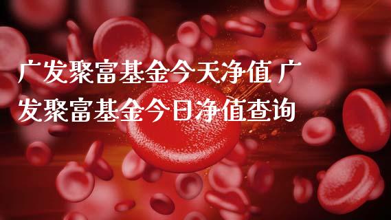 广发聚富基金今天净值 广发聚富基金今日净值查询