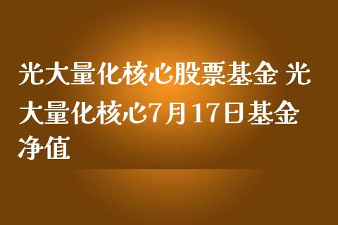 光大量化核心股票基金 光大量化核心7月17日基金净值