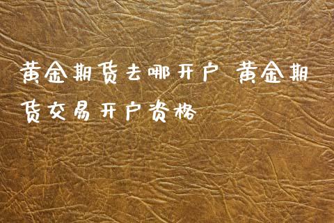 黄金期货去哪开户 黄金期货交易开户资格