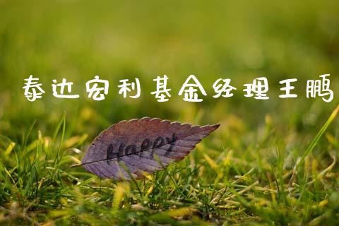 泰达宏利基金经理王鹏
