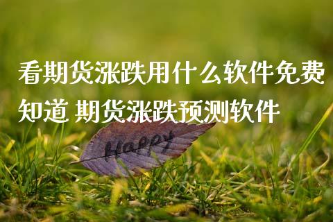 看期货涨跌用什么软件免费知道 期货涨跌预测软件